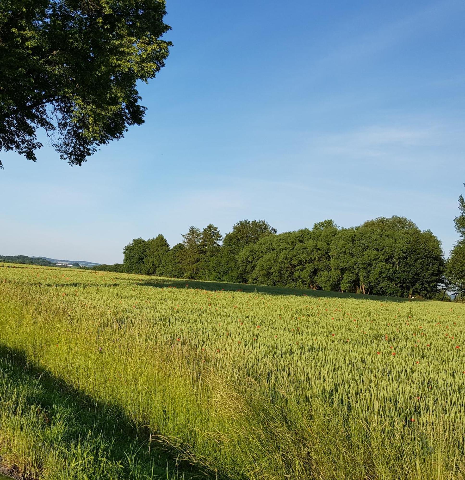 Wohnung Michael Lust Auf Zuhause Ferien In Der Provinz Herford Exterior foto